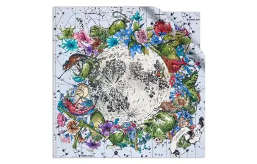 DIOR Scarves Women's Multicolor