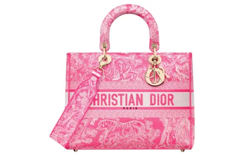 DIOR Handbags