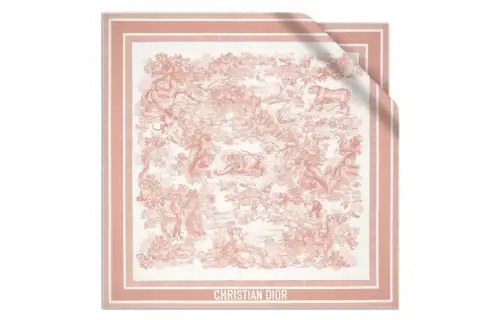 DIOR Scarves Women's Ivory, Pink
