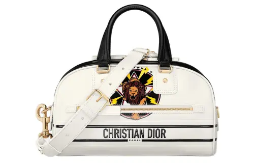DIOR Vibe Collection Handbags