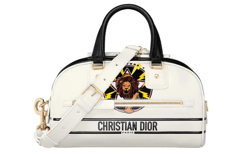 DIOR Vibe Collection Handbags