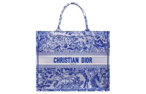DIOR BookTote Handbags