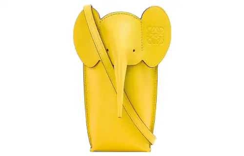 LOEWE Calfskin Crossbody Bag With Cell Phone Pouch Regular Women's Bright Yellow