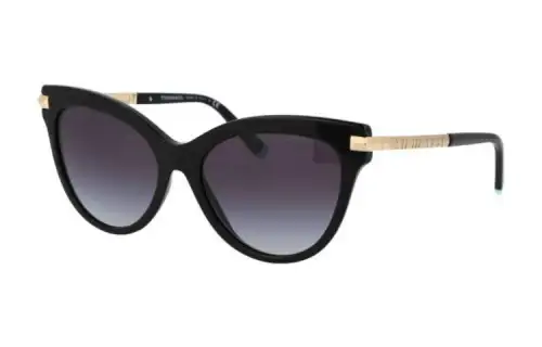 gradient cat-eye sunglasses