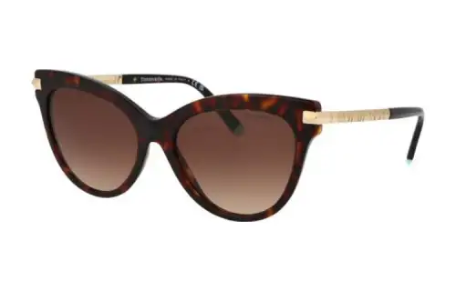 tortoiseshell-effect sunglasses
