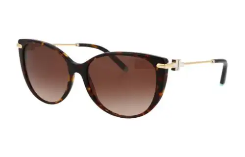 TIFFANY & CO. Cat Eye Frame Sunglasses