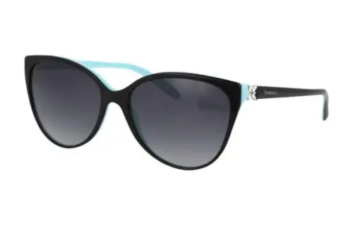 TIFFANY & CO. Cat Eye Frame Sunglasses