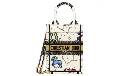 DIOR BookTote Handbags