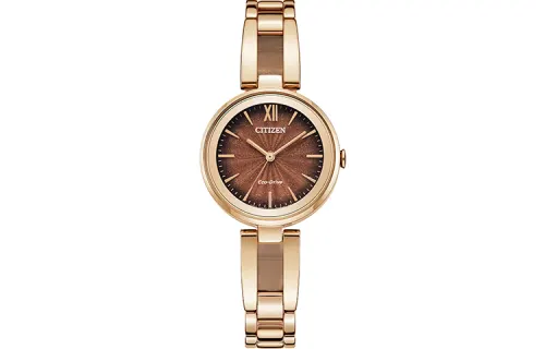 CITIZEN Eco Drive Light Powered Quartz Movement Stainless Steel Strap Watch Women's Watch