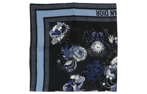 DIOR Scarves Unisex Blue