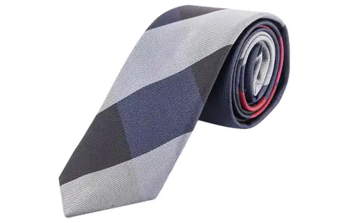Burberry Ties Men's Blue