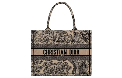 DIOR BookTote Embroidery Tote Bag, Shopping Bag, Handbag Medium Women's Brown