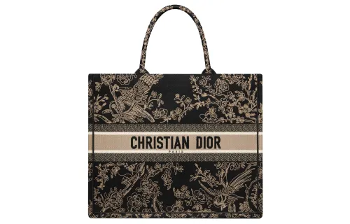 DIOR BookTote Handbags