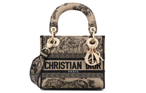 DIOR Lady D Lite Handbags
