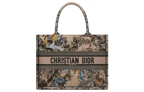 DIOR BookTote Handbags