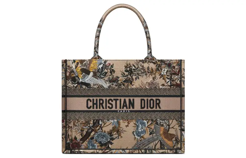 DIOR BookTote Handbags