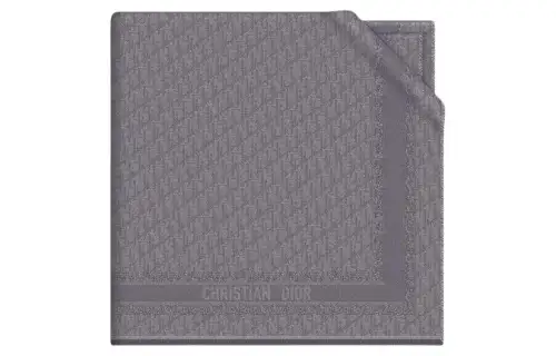 DIOR Scarves Unisex Gray