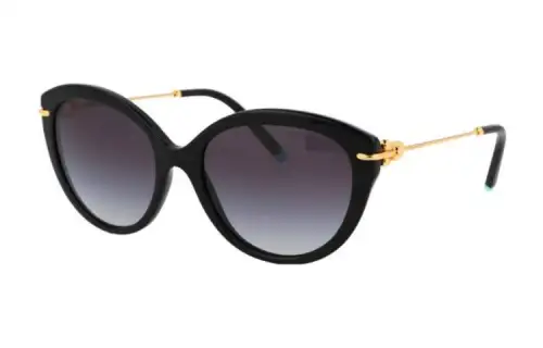 gradient cat-eye sunglasses
