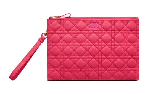 DIOR Caro Clutches