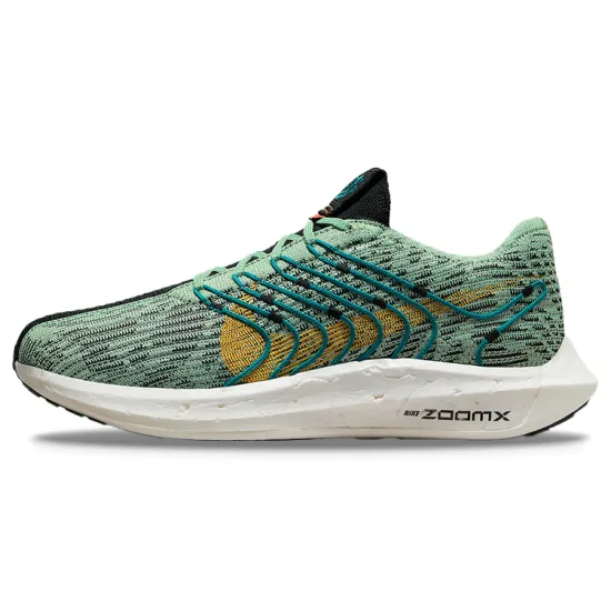 Nike Pegasus Turbo Next Nature 5 Borough Tour