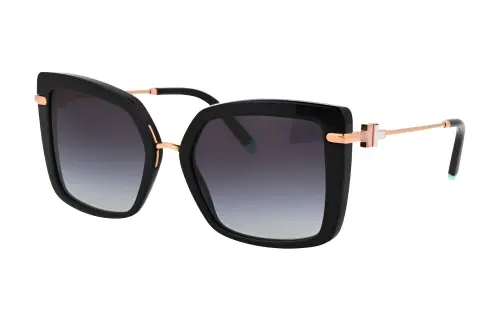 【Previous Season】oversized square-frame sunglasses