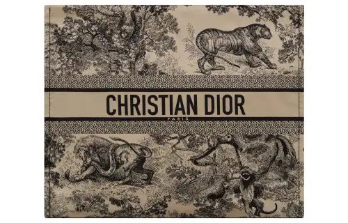DIOR DiorTravel Technical Fabric Clutch Women's Hazelnut