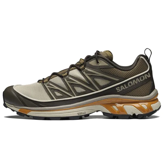SALOMON XT 6 Expanse 'Feather Grey Golden Oak'