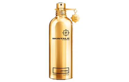 MONTALE unisex perfume EDP 100ml