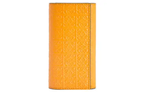 LOEWE Silk Cow Leather Key Pouch Women's Orange