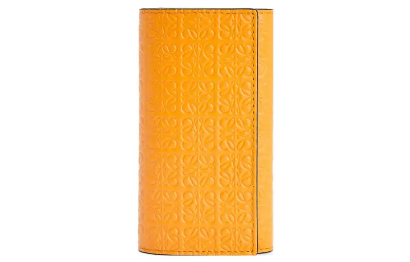 LOEWE Silk Cow Leather Key Pouch Women's Orange