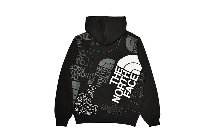 THE NORTH FACE Graphic Injection Logo