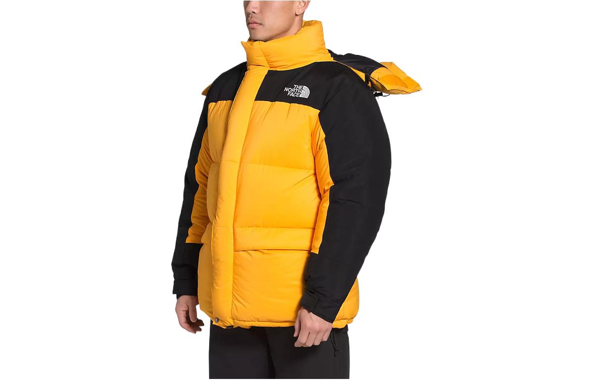 THE NORTH FACE FW22