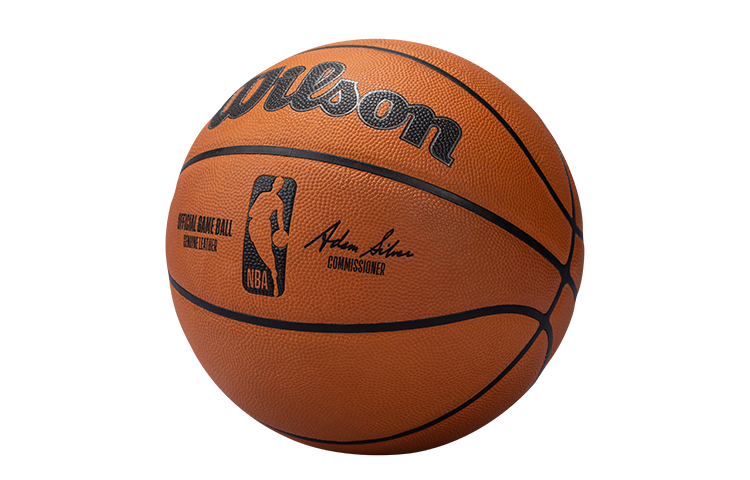 Wilson NBA Series Basketball