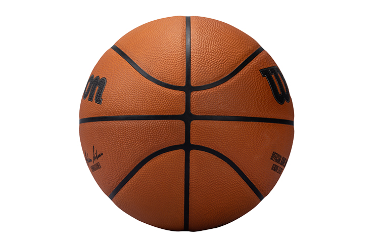 Wilson NBA Series Basketball