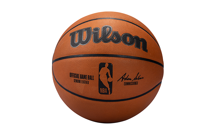 Wilson NBA Series Basketball