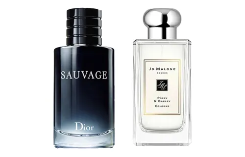 DIOR Wild Men's