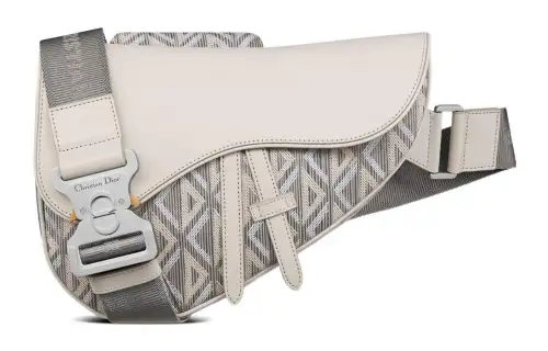 DIOR Saddle Canvas With Leather Saddle Bag, Shoulder Bag, Crossbody Bag, Fanny Pack, Sling Bag Men's Beige Gray