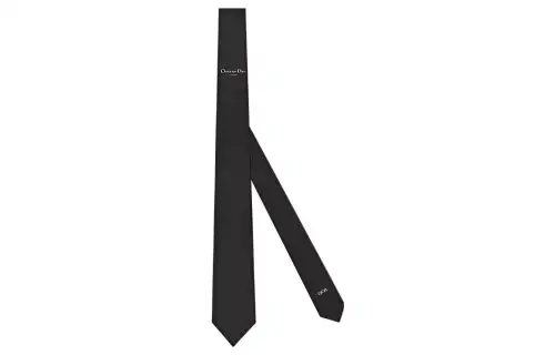 DIOR Ties Men's