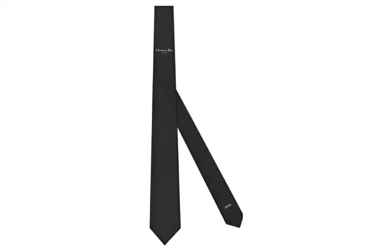 DIOR Ties Men's
