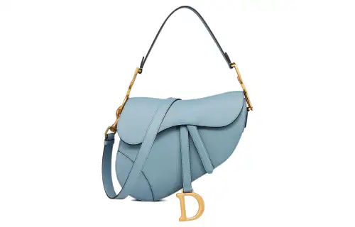 DIOR Saddle Handbags