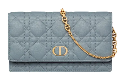 DIOR Caro Cow Leather One Shoulder Crossbody Clutch Women's Powder Blue