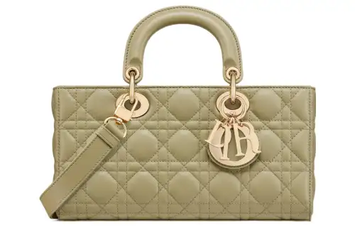 DIOR Lady D Joy Handbags