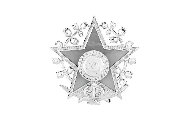 DIOR Bonne Etoile Brooches Unisex