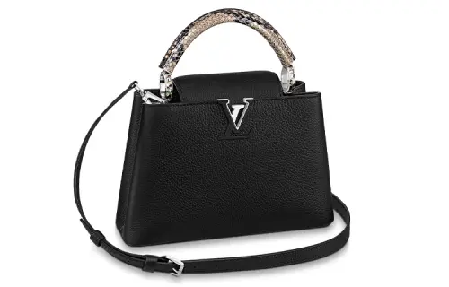 LOUIS VUITTON Capucines Handbags