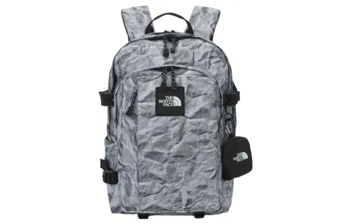 THE NORTH FACE 30L Backpack Outdoor Bag Polyester Gray Unisex