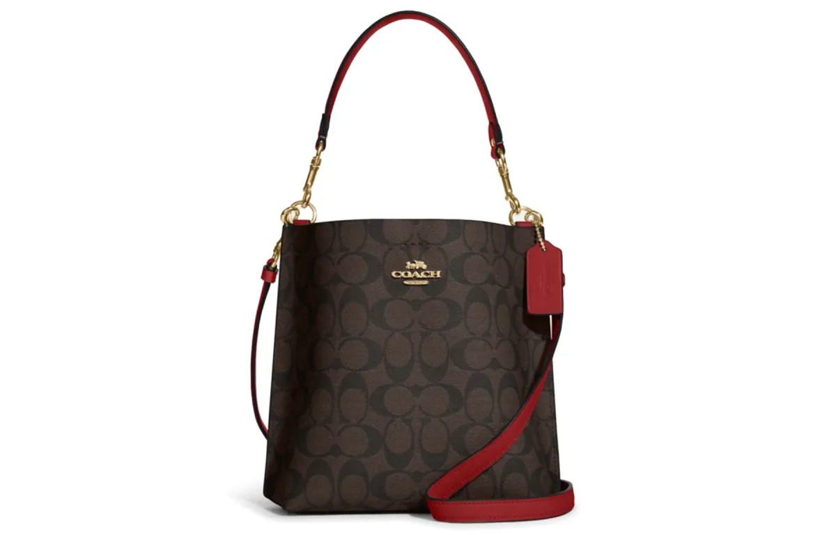COACH Mollie Artificial Leather Bucket Bag Handbag Small Women's Brown