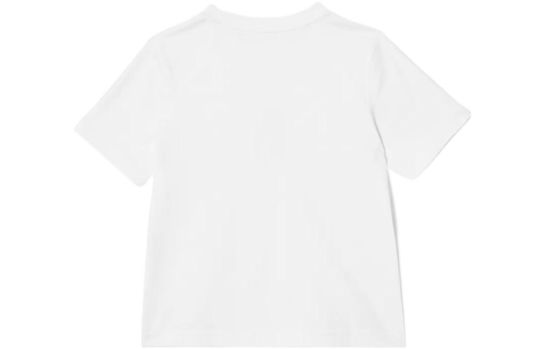 Photo 21393719