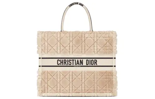 DIOR BookTote Handbags