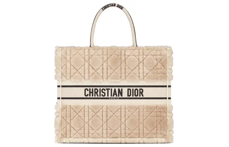 DIOR BookTote Handbags