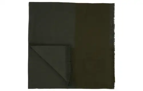 Loro Piana Scarves Unisex Green